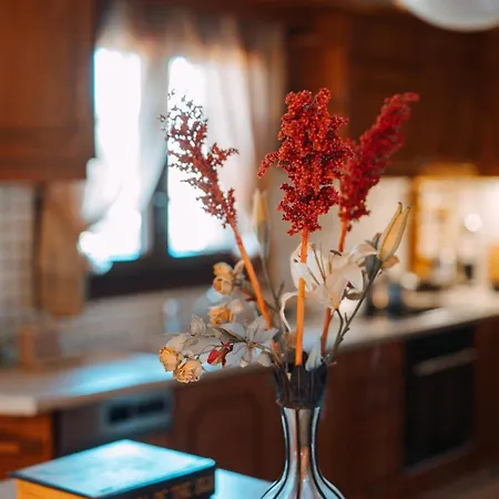 Дом отдыха Sylvi Maisonette Volos Melissatika