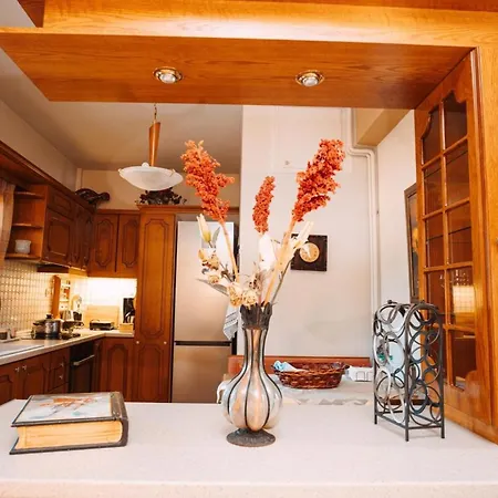 Дом отдыха Sylvi Maisonette Volos *